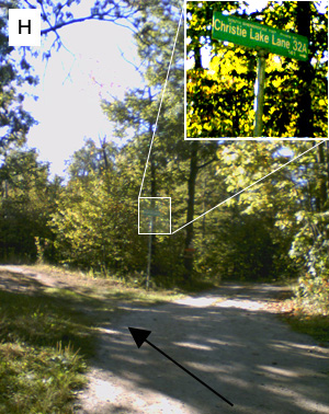 Waypoint H: a wooded lane with an inset close-up of the green 'Christie Lake Lane 32A' street sign, and an arrow pointing to the left turn taken just before it.